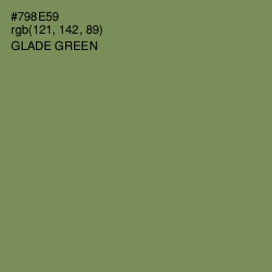 #798E59 - Glade Green Color Image